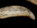Decorative Arts - 3