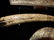 Decorative Arts - 4