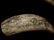 Decorative Arts - 8