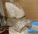 Carved Wood - 3