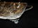 Silver Plate - 5