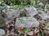 Garden - 2