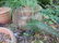 Garden - 2