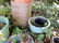 Garden - 3