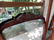 Mirror - 7