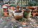 Garden - 2