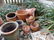 Garden - 3