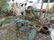 Garden - 3