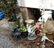 Garden - 2