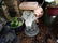 Garden - 3