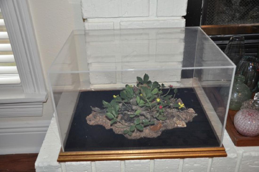 Decorative Items (1 of 3)