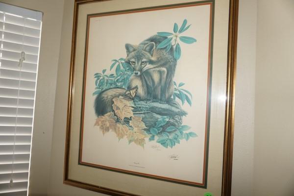 Framed Prints: Framed "Gray Fox" Urocyon Cinereoargenteus by Richard Timm, COA Griggsville Wild Bird Society 26 1/2" x 42 1/2"