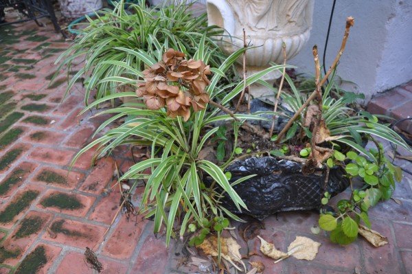 Black cast iron garden planter, 11" H x 2'2" W &: Black cast iron garden planter, 11" H x 2'2" W & concrete garden pot, 1'2" H x 1'3" round