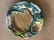 French Majolica Artichoke/Asparagus Plates (6) - 4