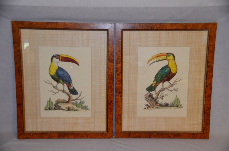 Pair of Toucan Prints: Reproductions of George Edwards, The Bill Bird, 1745 and The Toco Tucan, 1745. Plate numbers 64 & 65. In birds-eye maple veneer frames. 24" high x 19-1/2" wide framed