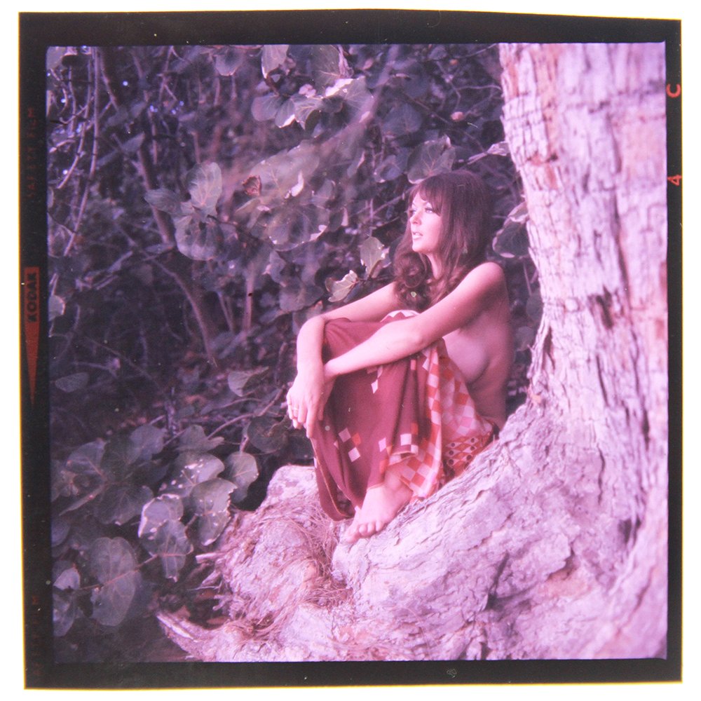 Orig 120mm Transparency Avril Lund 1973 by Bob Guccione: An Original 120mm Transparency of Avril Lund taken in 1973 by photographer Bob Guccione Model: Avr