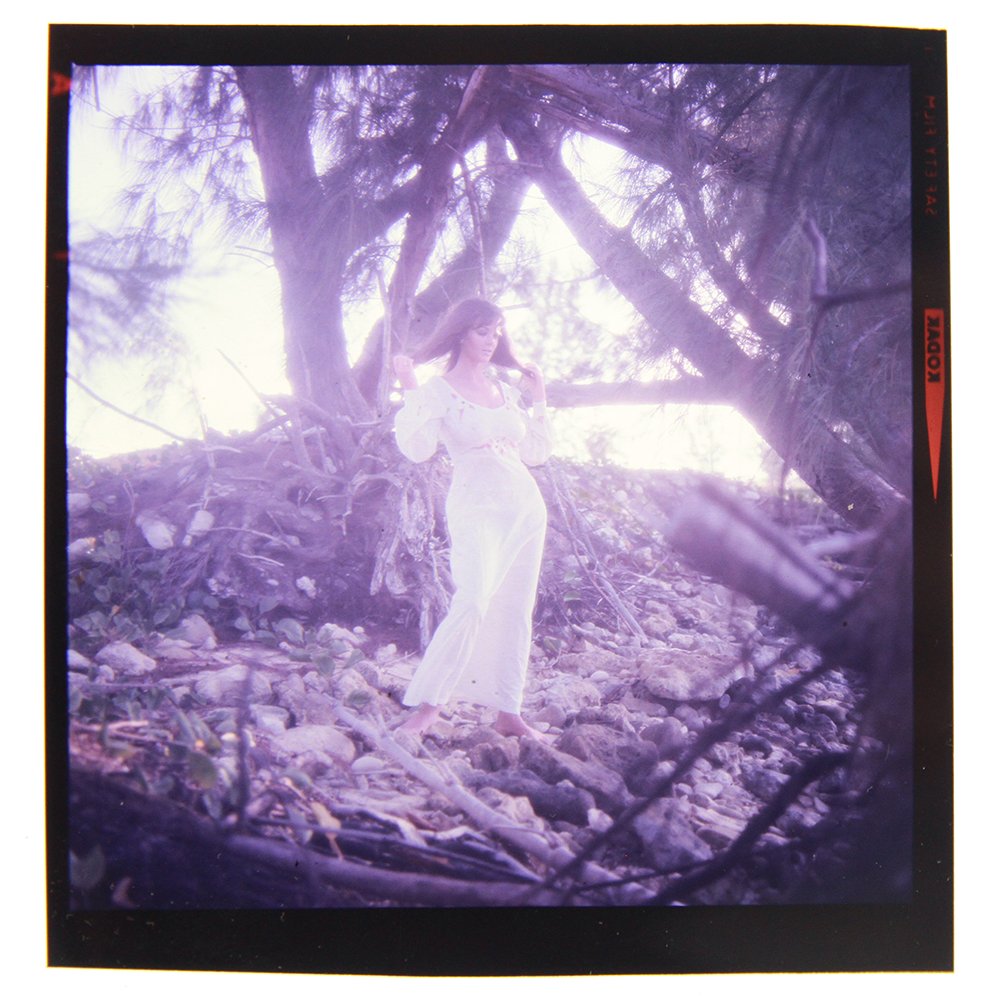 Orig 120mm Transparency Avril Lund 1973 by Bob Guccione: An Original 120mm Transparency of Avril Lund taken in 1973 by photographer Bob Guccione Model: Avr