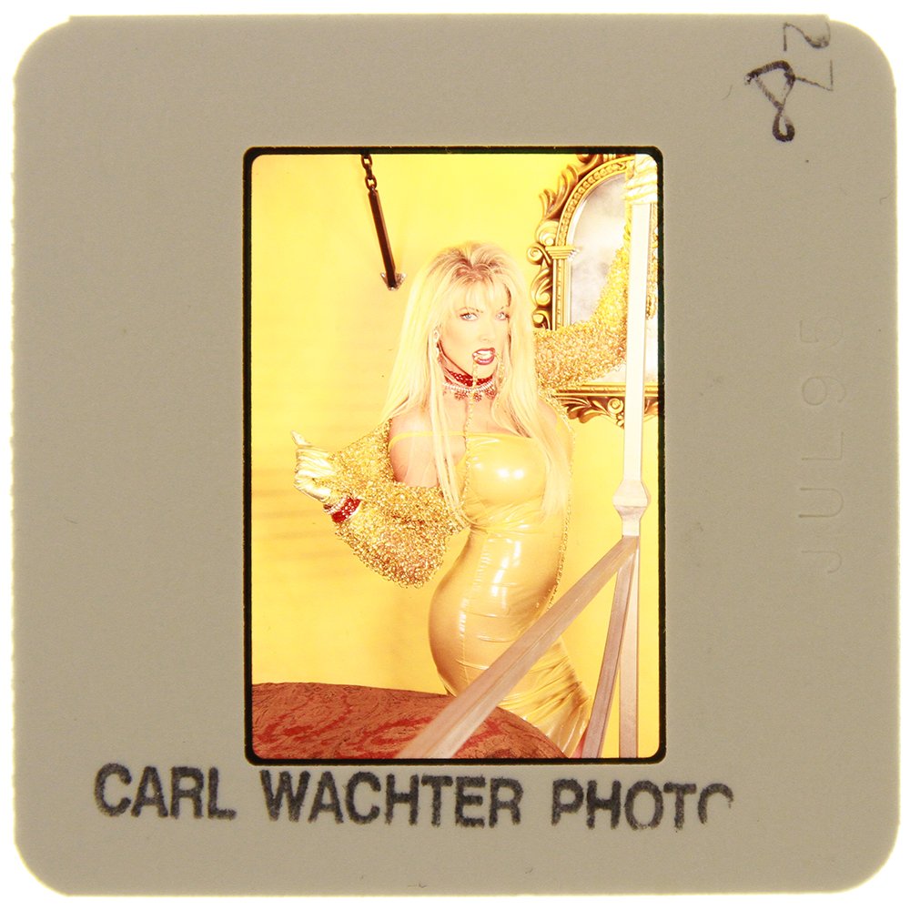 Original 35mm Lisa Gayle 1995 By Carl Wachter: Original nude, erotic, 35mm slide features Lisa Gayle taken Carl Wachter in 1995. Print and/or markings on the slide mount are original.