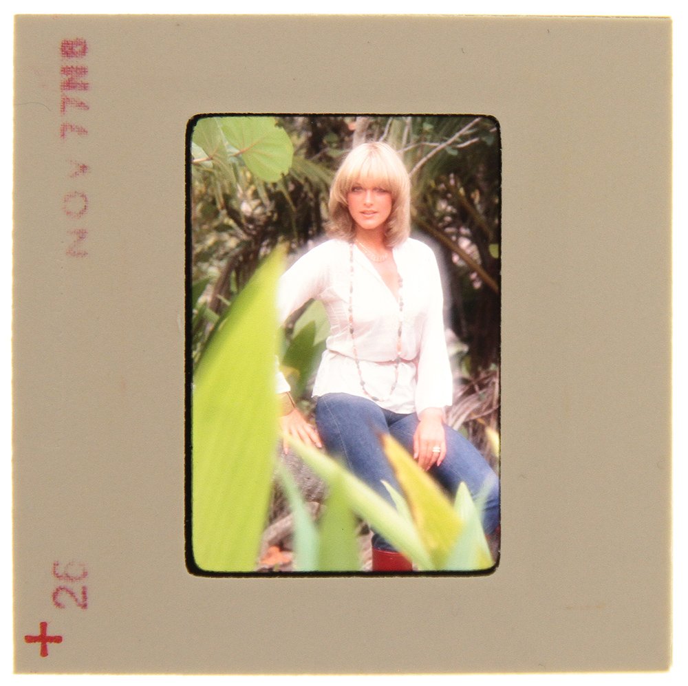 Original 35mm Jane Hargrave 1976 By Bob Guccione: Original nude, erotic, 35mm slide features Jane Hargrave taken by Bob Guccione in 1976. Print and/or markings on the slide mount are original.