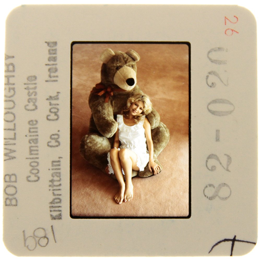 Original 35mm Pia Zadora 1982 By Bob Willoughby: Original nude, erotic, 35mm slide features Pia Zadora taken by Bob Willoughby in 1982. Subject: Golden Gl