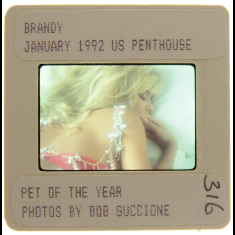 Original 35mm Brandy Ledford 1992 by Bob Guccione: Original nude, erotic, 35mm slide features Brandy Ledford taken by Bob Guccione in 1992. Print and/or markings on the slide mount are original.