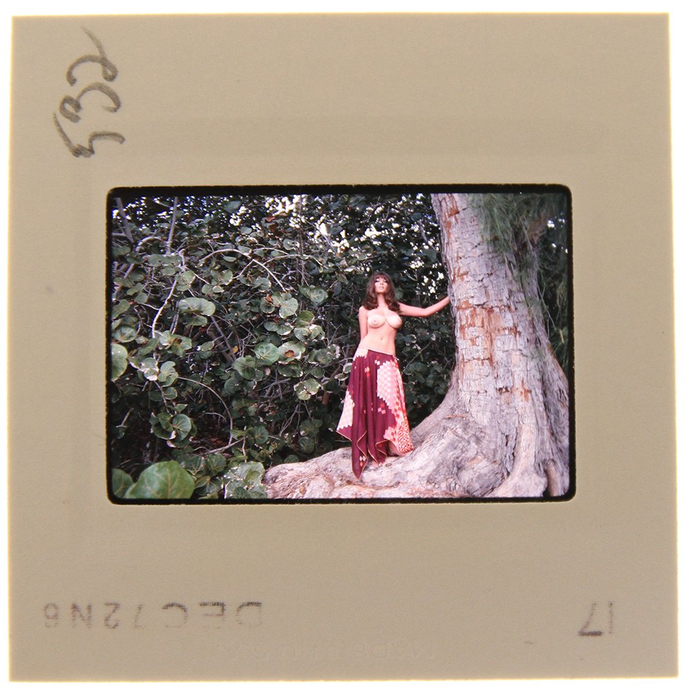 Original 35mm Avril Lund 1972 by Bob Guccione: Original 35mm slide of Avril Lund taken in 1972 by photographer Bob Guccione Model: Avril Lund was