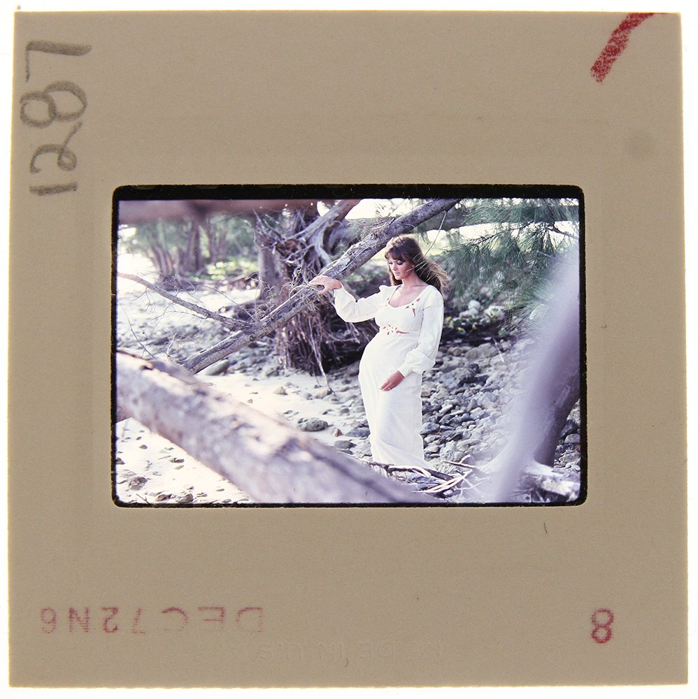 Original 35mm Avril Lund 1972 by Bob Guccione: Original 35mm slide of Avril Lund taken in 1972 by photographer Bob Guccione Model: Avril Lund was