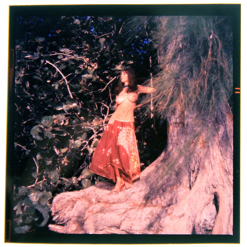 Original 120mm Avril Lund 1973 by Bob Guccione: An Original 120mm Transparency of Avril Lund taken in 1973 by photographer Bob Guccione Model: Avr