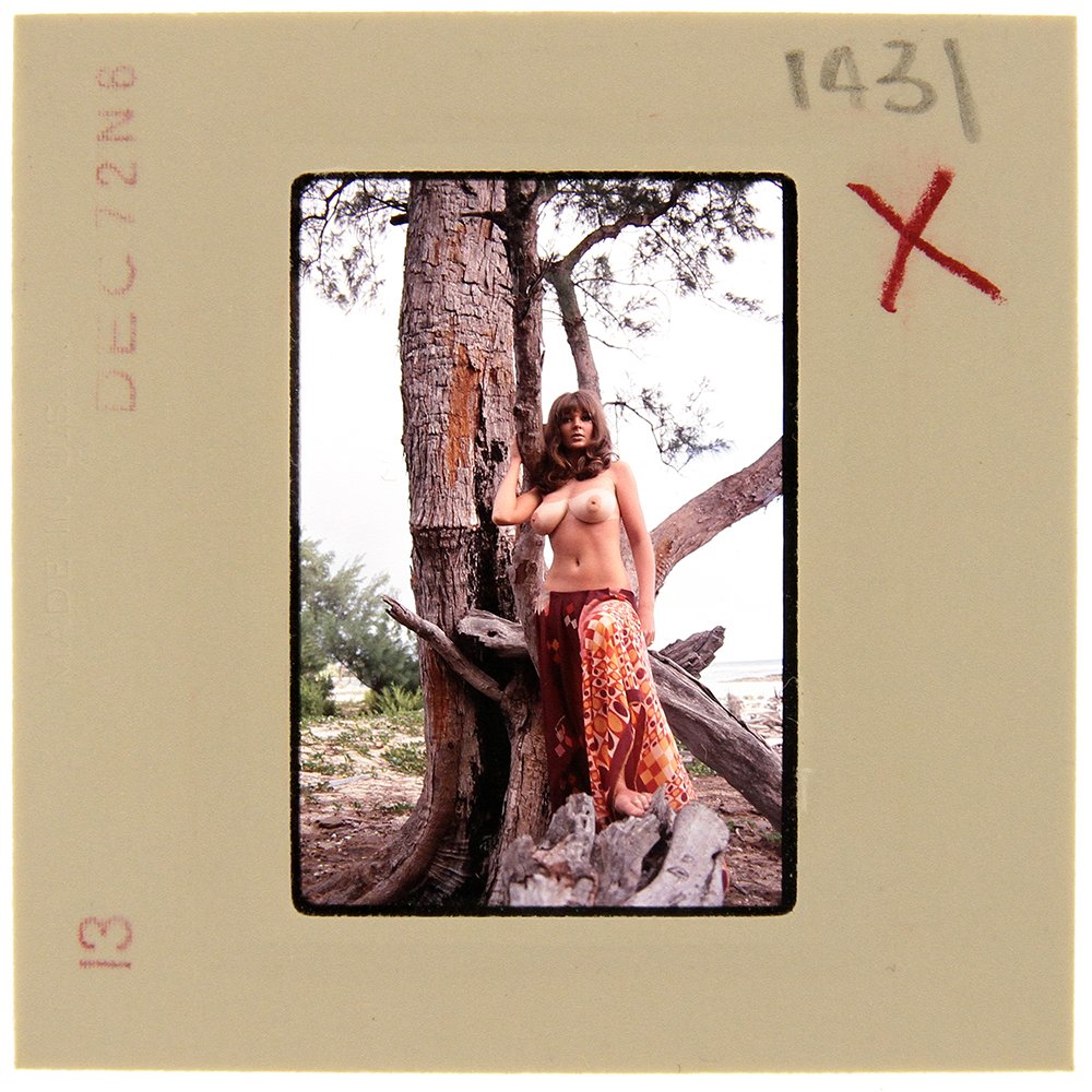 Original 35mm Avril Lund 1972 by Bob Guccione: Original 35mm slide of Avril Lund taken in 1972 by photographer Bob Guccione Model: Avril Lund was