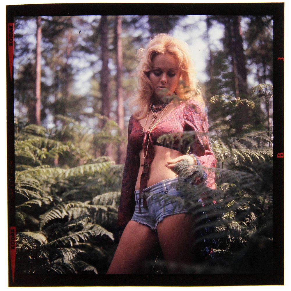 Original 120mm Angela Adams 1972 by Bob Guccione: Original nude, erotic, 120mm transparency features Angela Adams taken by Bob Guccione in 1972. Model: Angela Adams,