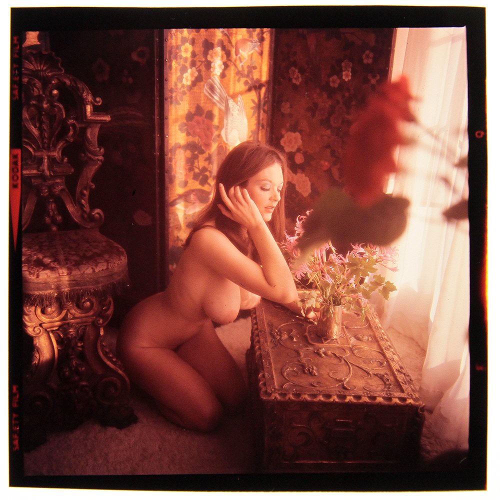 Original 120mm Avril Lund 1973 by Bob Guccione: An Original 120mm Transparency of Avril Lund taken in 1973 by photographer Bob Guccione Model: Avr