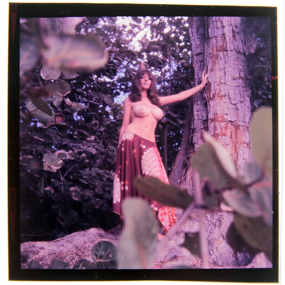 Original 120mm Avril Lund 1973 by Bob Guccione: An Original 120mm Transparency of Avril Lund taken in 1973 by photographer Bob Guccione Model: Avr