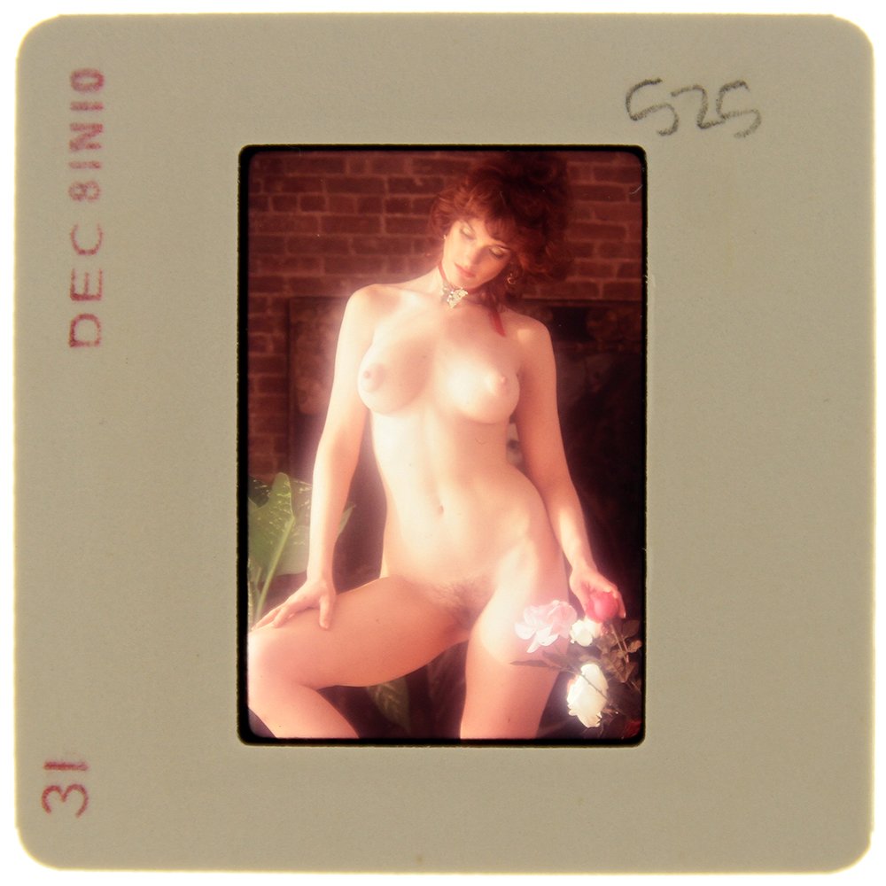 Original 35mm Donna Barnes 1981 By Bob Guccione: Original nude, erotic, 35mm slide features Donna Barnes taken by Bob Guccione in 1981. Print and/or markings on the slide mount are original.