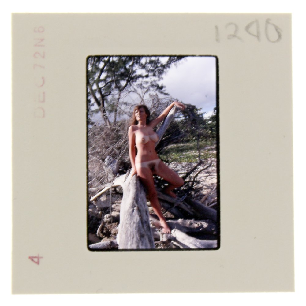 Original 35mm Avril Lund 1972 by Bob Guccione: Original 35mm slide of Avril Lund taken in 1972 by photographer Bob Guccione Model: Avril Lund was
