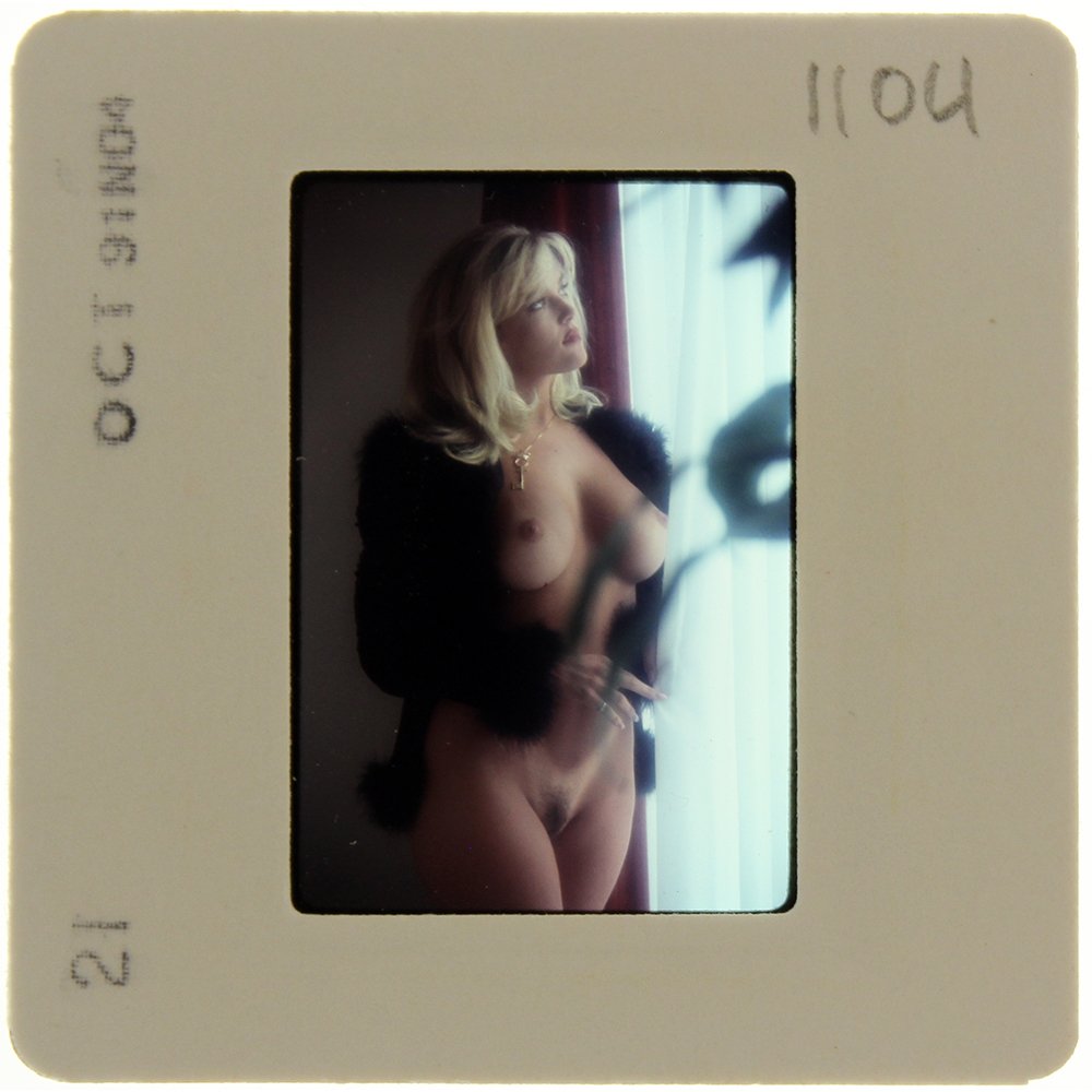 Original 35mm Brandy Ledford 1991 by Bob Guccione: Original nude, erotic, 35mm slide features Brandy Ledford taken by Bob Guccione in 1991. Print and/or markings on the slide mount are original.