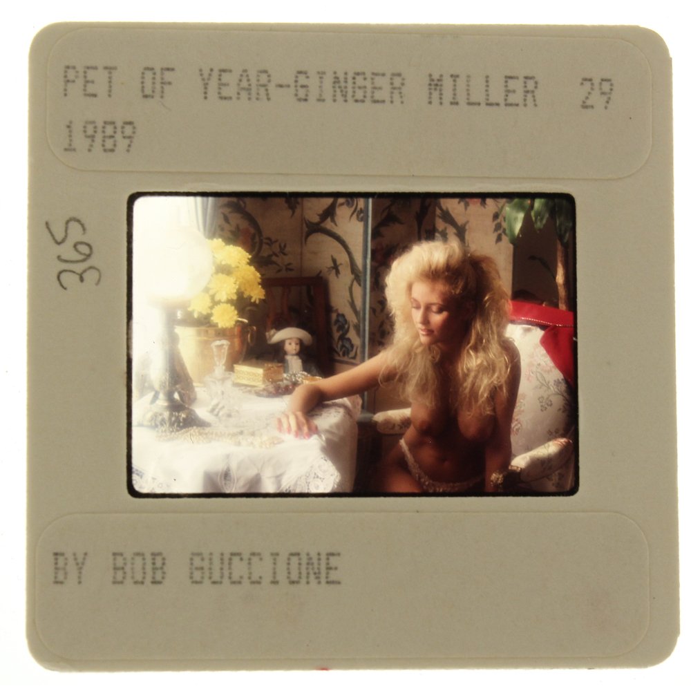 Original 35mm Ginger Miller 1989 By Bob Guccione: Original nude, erotic, 35mm slide features Ginger Miller taken by Bob Guccione in 1989. Print and/or markings on the slide mount are original.