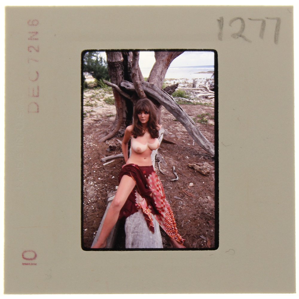 Original 35mm Avril Lund 1972 by Bob Guccione: Original 35mm slide of Avril Lund taken in 1972 by photographer Bob Guccione.Model: Avril Lund was Penthouse magaz