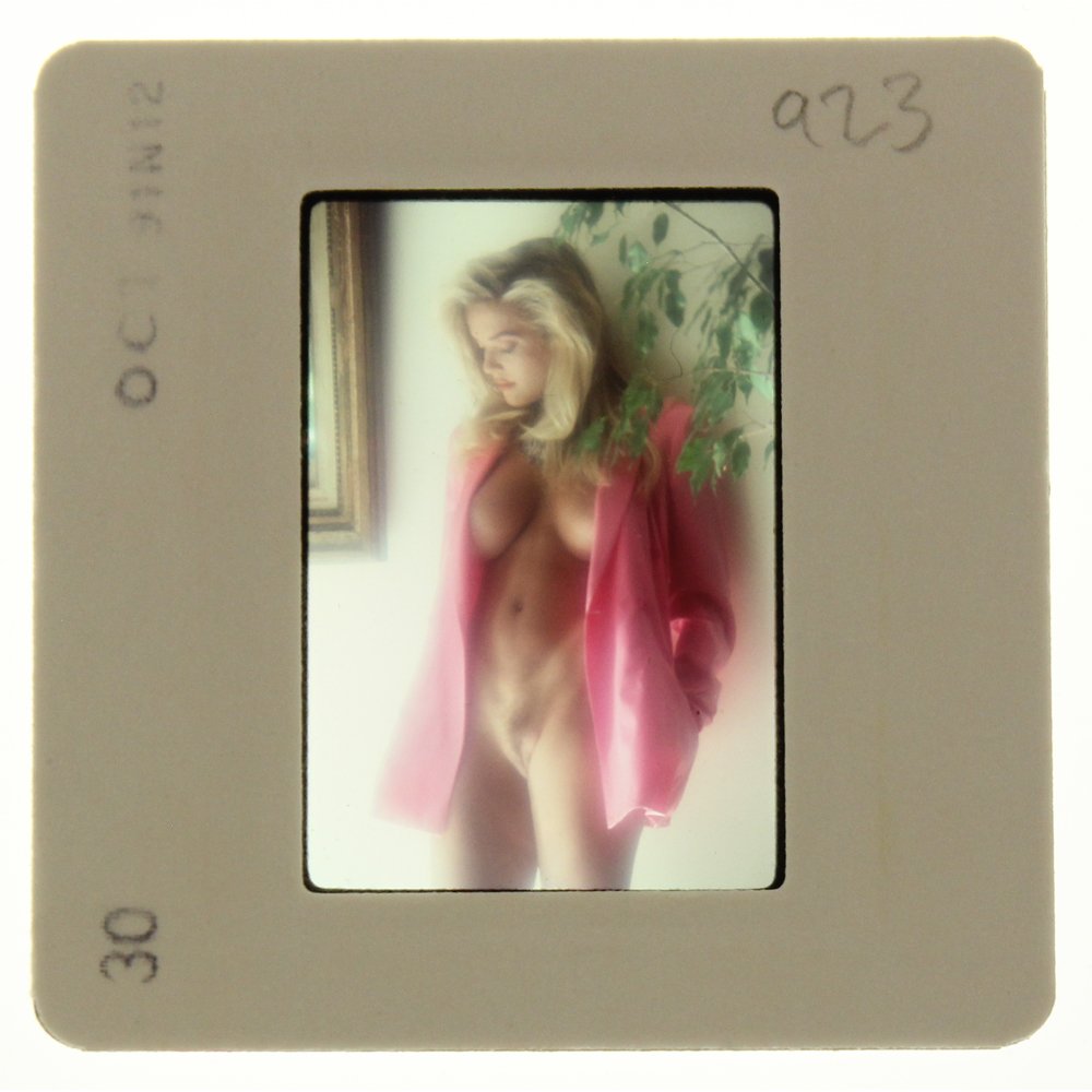 Original 35mm Brandy Ledford 1991 by Bob Guccione: Original nude, erotic, 35mm slide features Brandy Ledford taken by Bob Guccione in 1991. Print and/or markings on the slide mount are original.