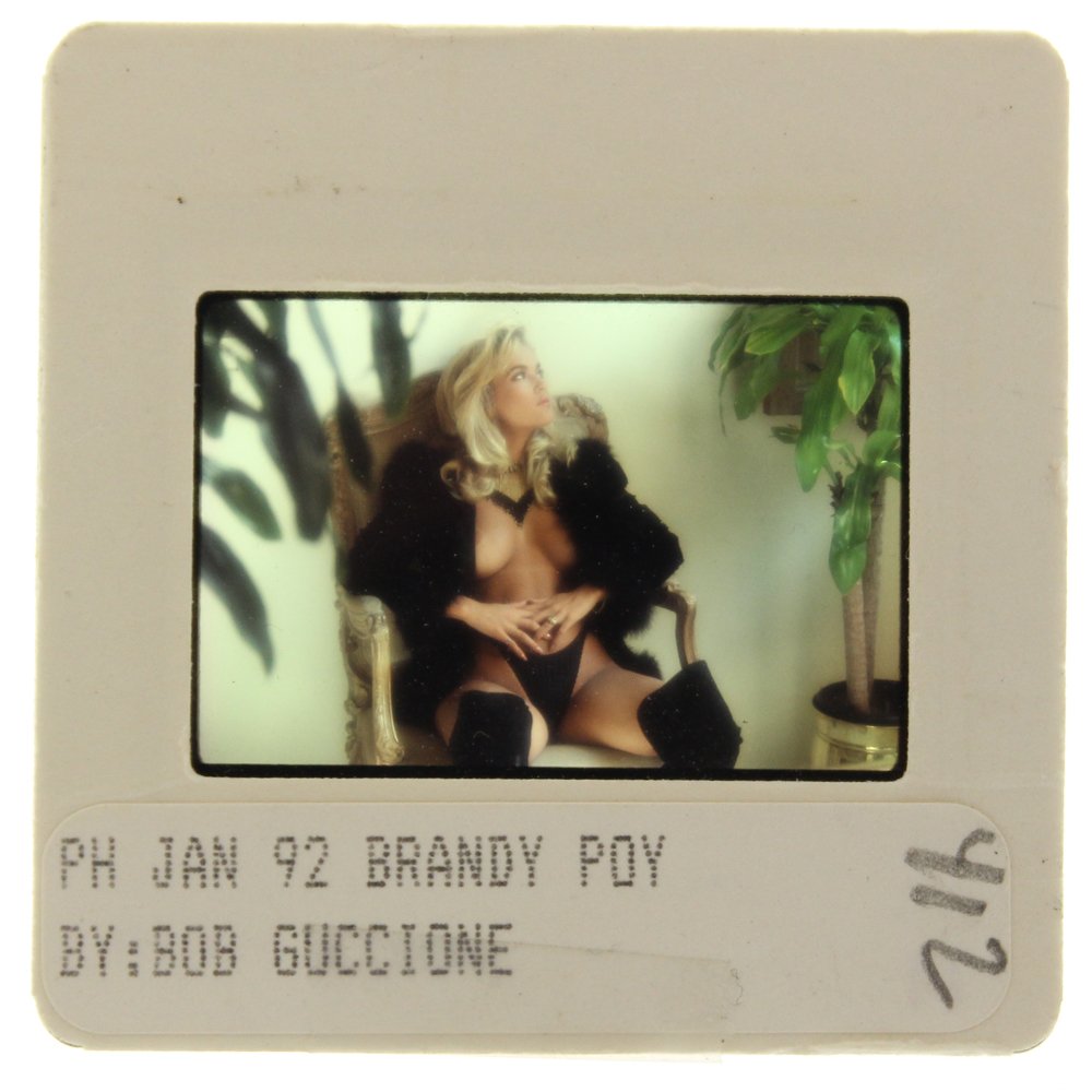 Original 35mm Brandy Ledford 1991 by Bob Guccione: Original nude, erotic, 35mm slide features Brandy Ledford taken by Bob Guccione in 1991. Print and/or markings on the slide mount are original.