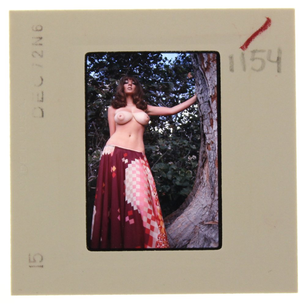 Original 35mm Avril Lund 1972 by Bob Guccione: Original 35mm slide of Avril Lund taken in 1972 by photographer Bob Guccione.Model: Avril Lund was Penthouse magaz