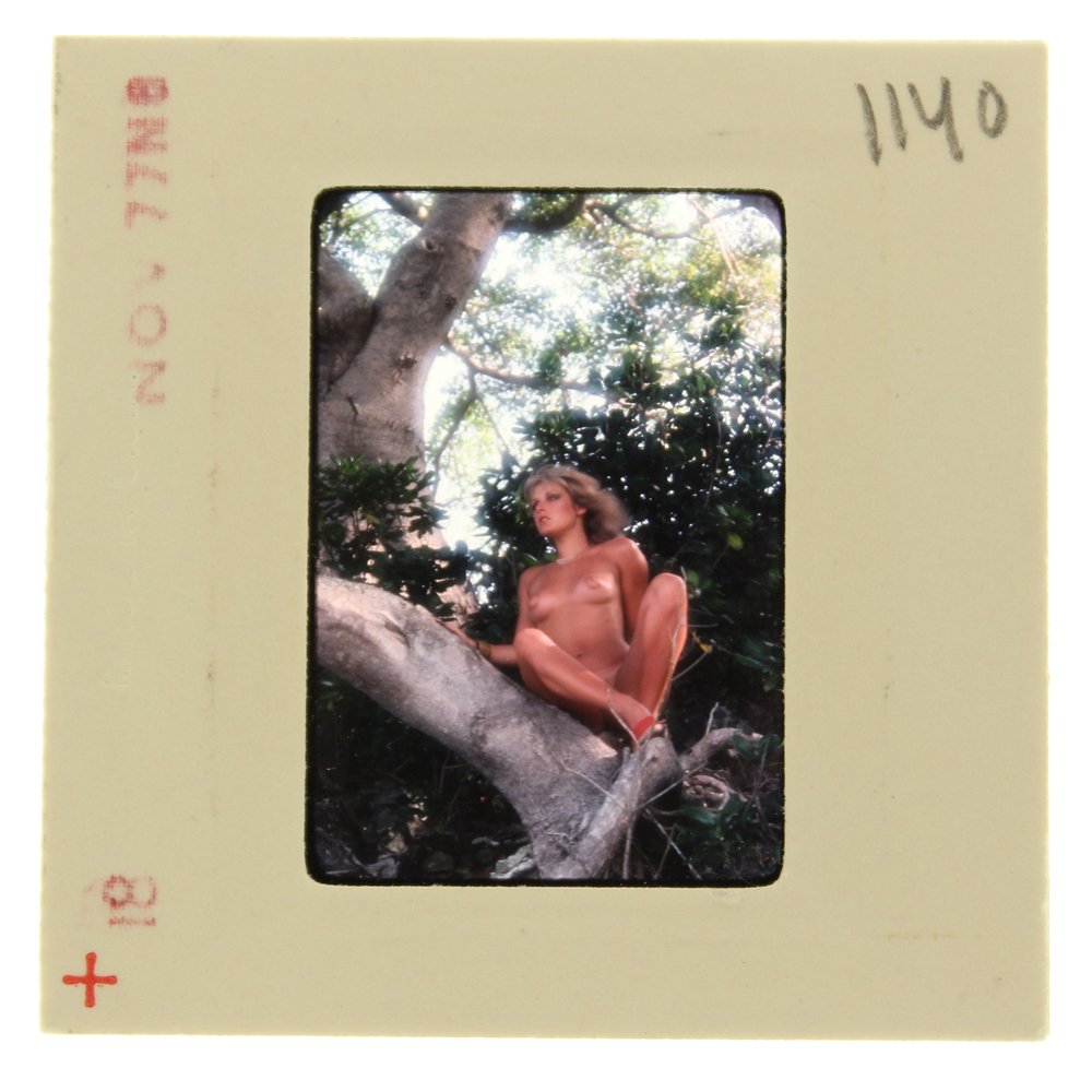 Original 35mm Jane Hargrave 1977 By Bob Guccione: Original nude, erotic, 35mm slide features Jane Hargrave taken by Bob Guccione in 1977. Print and/or markings on the slide mount are original.