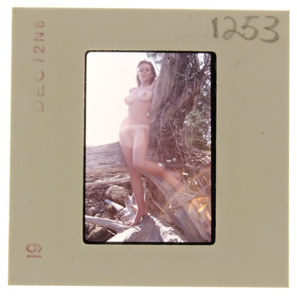 Original 35mm Avril Lund 1972 by Bob Guccione: Original 35mm slide of Avril Lund taken in 1972 by photographer Bob Guccione.Model: Avril Lund was Penthouse magaz