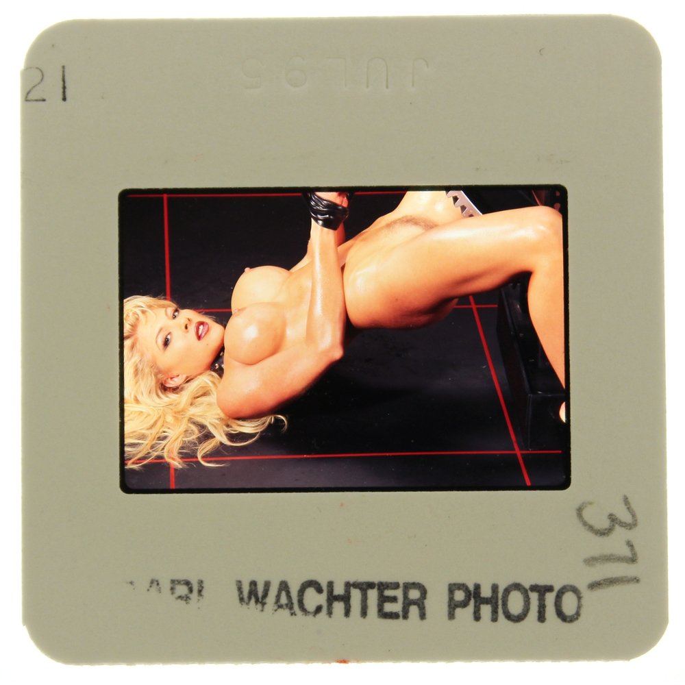Original 35mm Lisa Gayle 1995 By Carl Wachter: Original nude, erotic, 35mm slide features Lisa Gayle taken Carl Wachter in 1995. Print and/or markings on the slide mount are original.