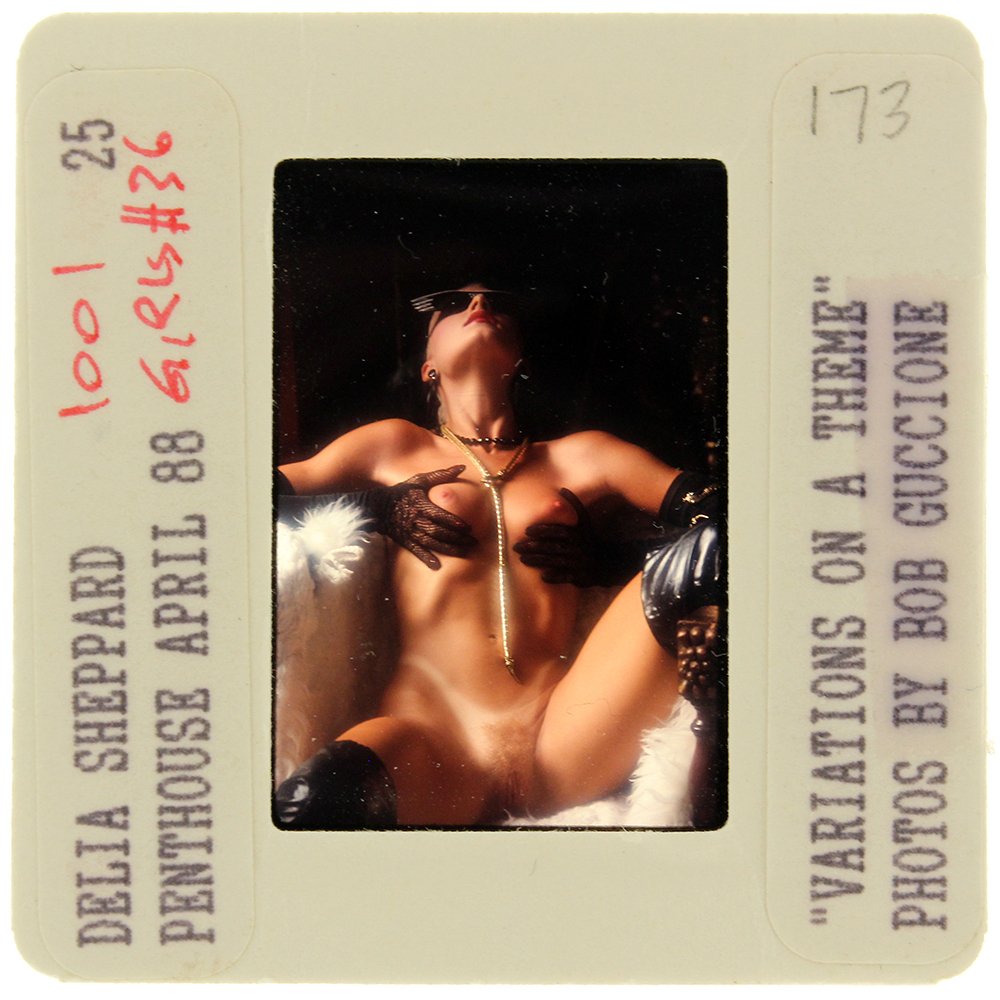Delia Sheppard 1988 35mm By Bob Guccione: Original 35mm slide features Delia Sheppard taken by Bob Guccione in 1988. Print and/or markings on the slide mount are original.