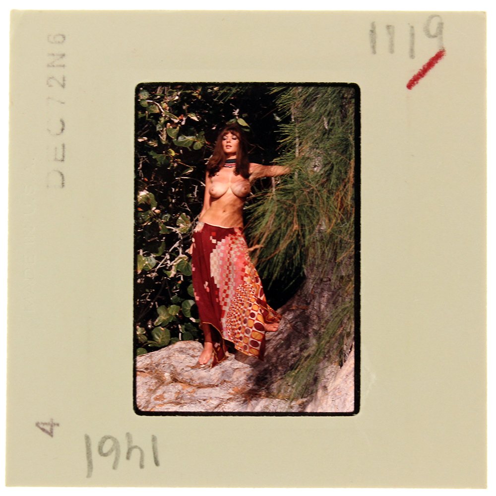 Avril Lund 1972 35mm By Bob Guccione: Original 35mm slide features Avril Lund taken by Bob Guccione in 1972. Print and/or markings on the slide mount are original. Mod