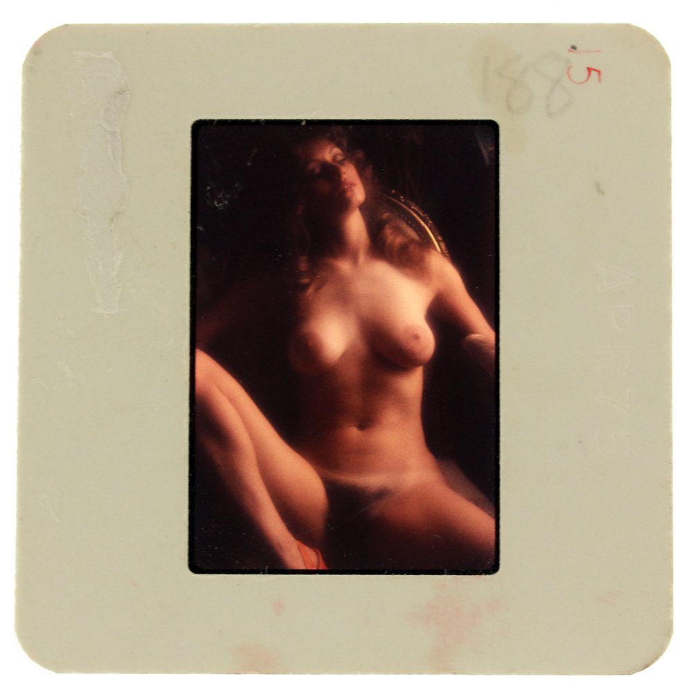 Susan Waide 1975 35mm By Bob Guccione: Original nude, erotic, 35mm slide features Suzan Waide taken by Bob Guccione in 1975. Print and/or markings on the slide mount are original.