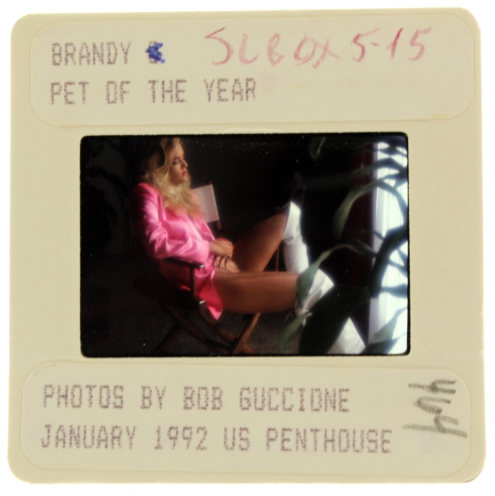 Brandy Ledford 1991 35mm By Bob Guccione: Original nude, erotic, 35mm slide features Brandy Ledford taken by Bob Guccione in 1991. Print and/or markings on the slide mount are original.