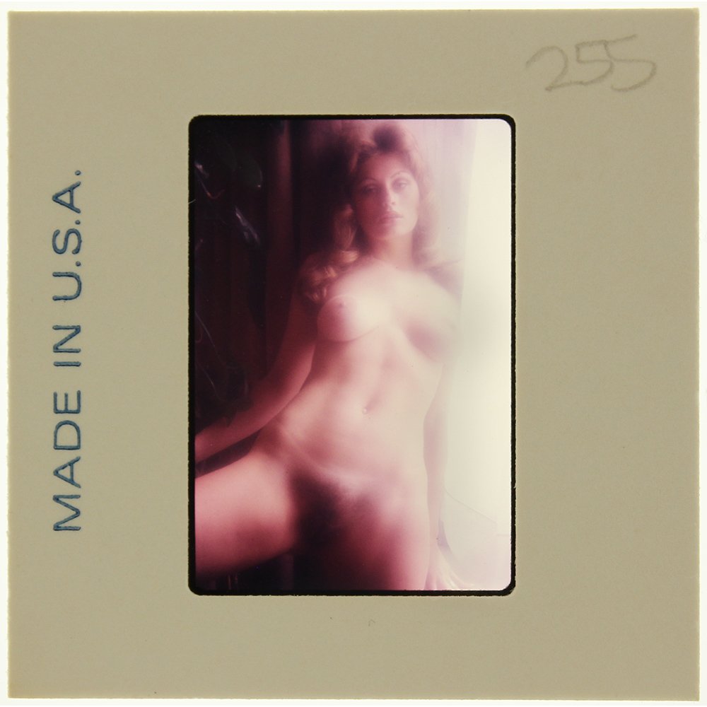 Susan Waide 1975 35mm By Bob Guccione: Original nude, erotic, 35mm slide features Suzan Waide taken by Bob Guccione in 1975. Print and/or markings on the slide mount are original.