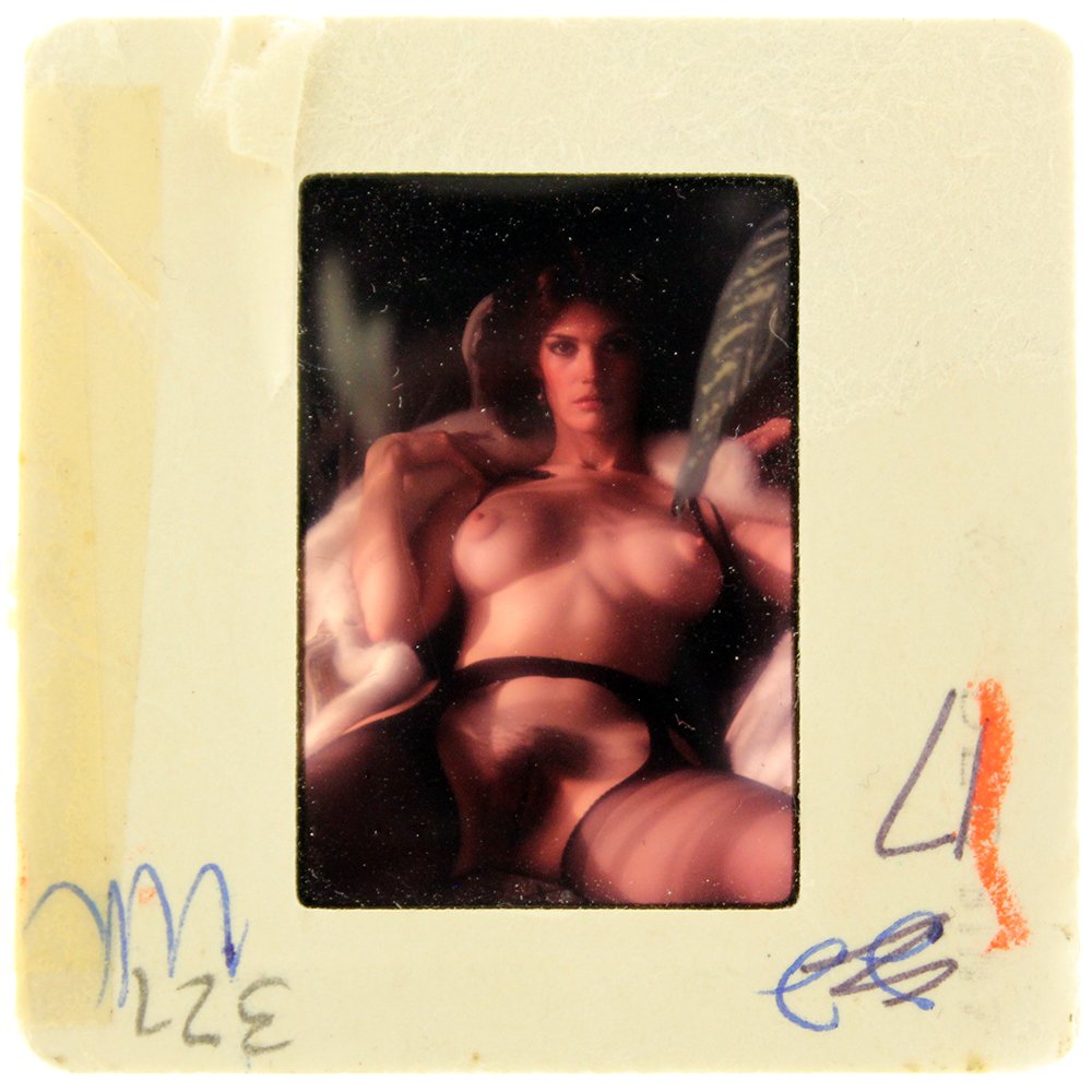 Donna Barnes 1981 35mm By Bob Guccione: Original 35mm slide features Donna Barnes taken by Bob Guccione in 1981.Model: At a full bodied five feet eleven in