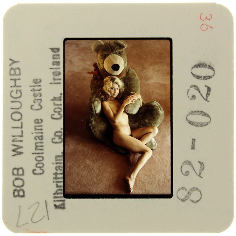 Pia Zadora 1982 35mm By Bob Willoughby: Original 35mm slide features Pia Zadora taken by Bob Willoughby in 1982. Subject: Golden Globe winner, Grammy n